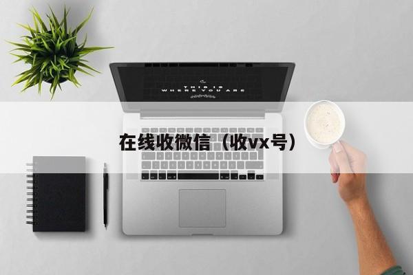在线收微信（收vx号）
